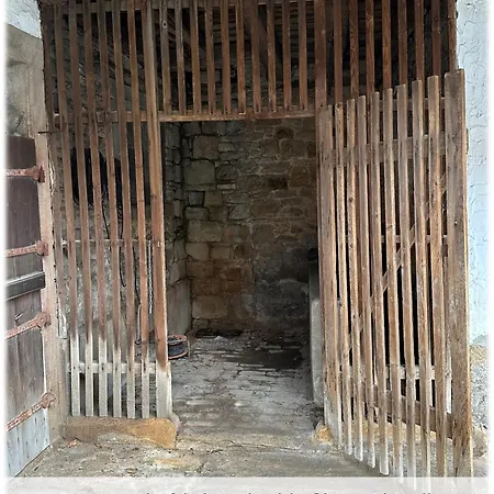 Neue90 - Saumagen, Weinstraße Pfalz Apartment